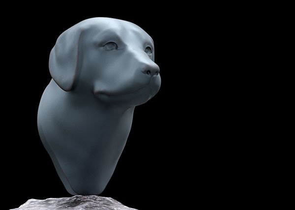 Sobre o Cão de Castro Laboreiro